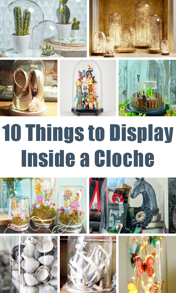 10 Things to Display Inside a Cloche