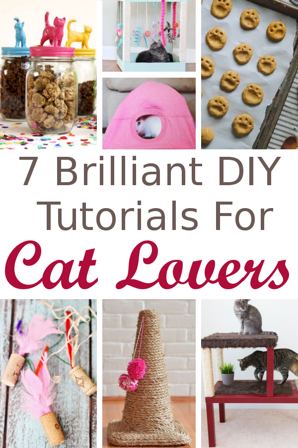 7 Brilliant DIY Tutorials For Cat Lovers