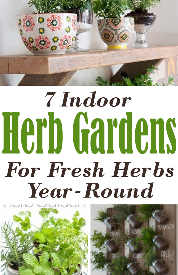 7 Indoor Herb Gardens For Fresh Herb Year-Round