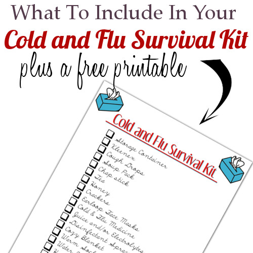 Cold and Flu Survival Kit