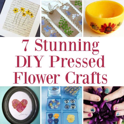 7 Stunning DIY Pressed Flower Crafts