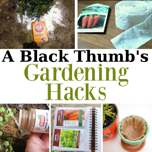 A Black Thumb’s Gardening Hacks