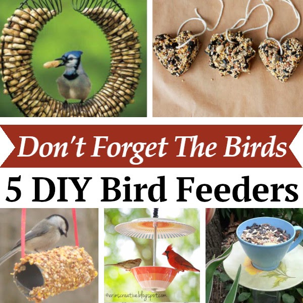 Don’t forget the birds. 5 DIY bird feeders