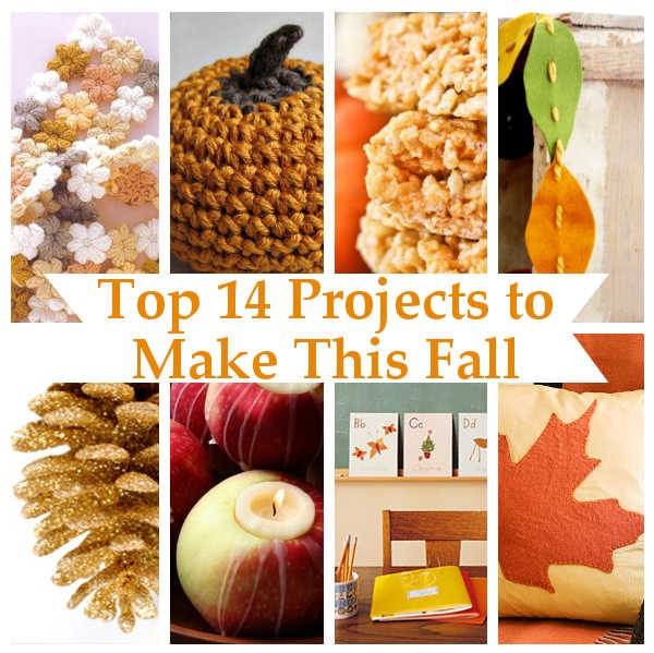 Top 14 Projects to Make This Fall