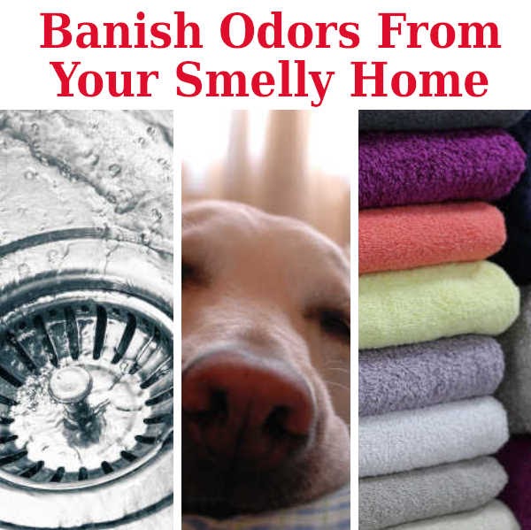 Banish Odors From Your Smelly Home.