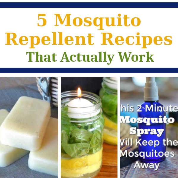 5 Mosquito Repellent Recipes That Actually Work