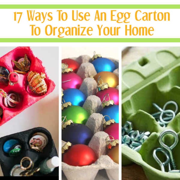 17 Ways To Organize With Egg Cartons – Budget Organizing Hack 1